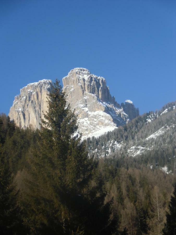 Garni Festil Campitello di Fassa Exterior foto